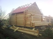строим деревянные дома